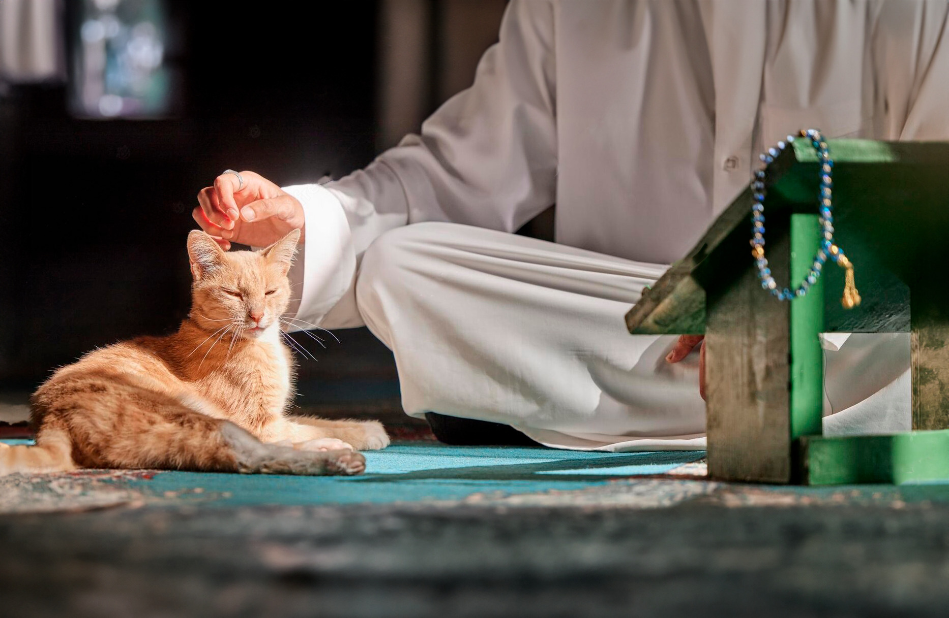 Abû Hurairah, que Allâh esté complacido de él Radio Islam Chile