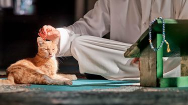 Abû Hurairah, que Allâh esté complacido de él