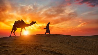 Indian cameleer (camel driver) bedouin with camel silhouettes in sand dunes of Thar desert on sunset. Caravan in Rajasthan travel tourism background safari adventure. Jaisalmer, Rajasthan, India