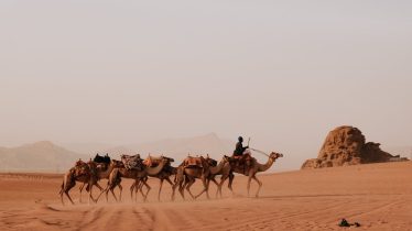 A caravan of camels traversing the sandy desert of Wadi Rum, Jordan, under a warm sun.